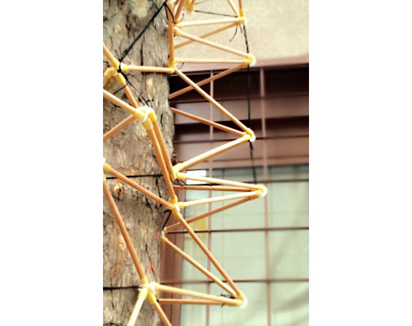 Commensal basic-design, rubber