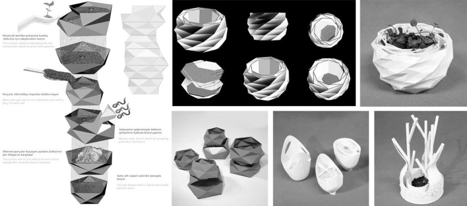 growing an architectural system 3d printing