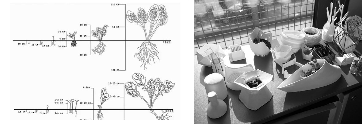 Growing an Architectural System exhibition, permaculture