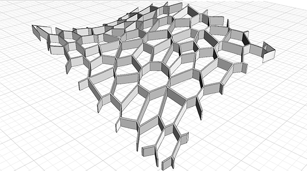 voronoi cage