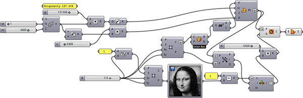 fibonacci portraits