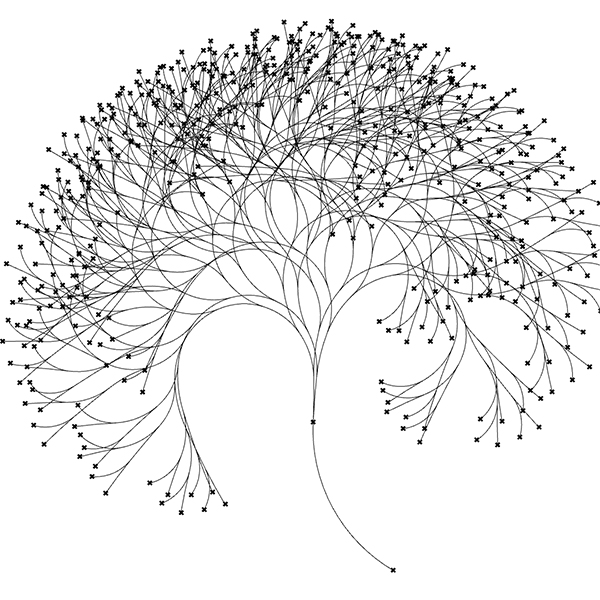 animated tree growth