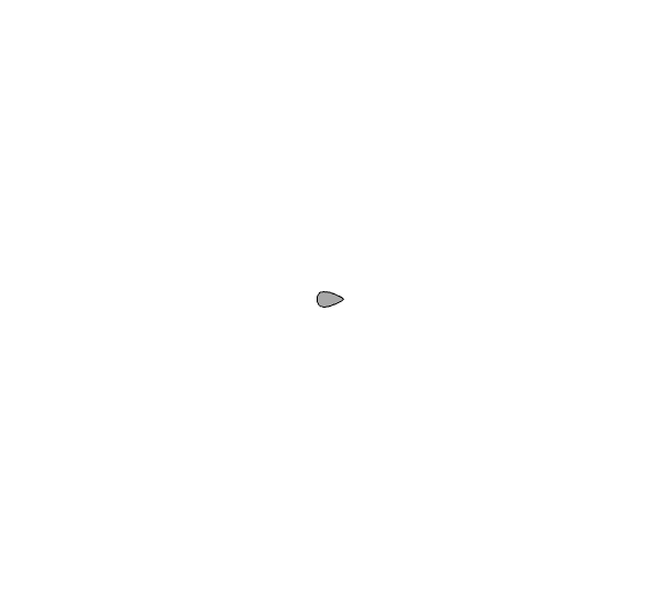 Differential Growth animation