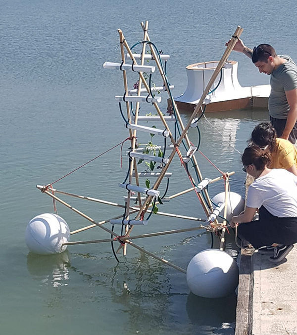 Hydrophilic Structures robot, structure