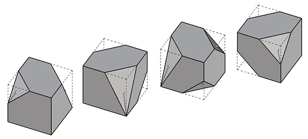 Syntax, Meaning, and Wasp aggregation, fractal
